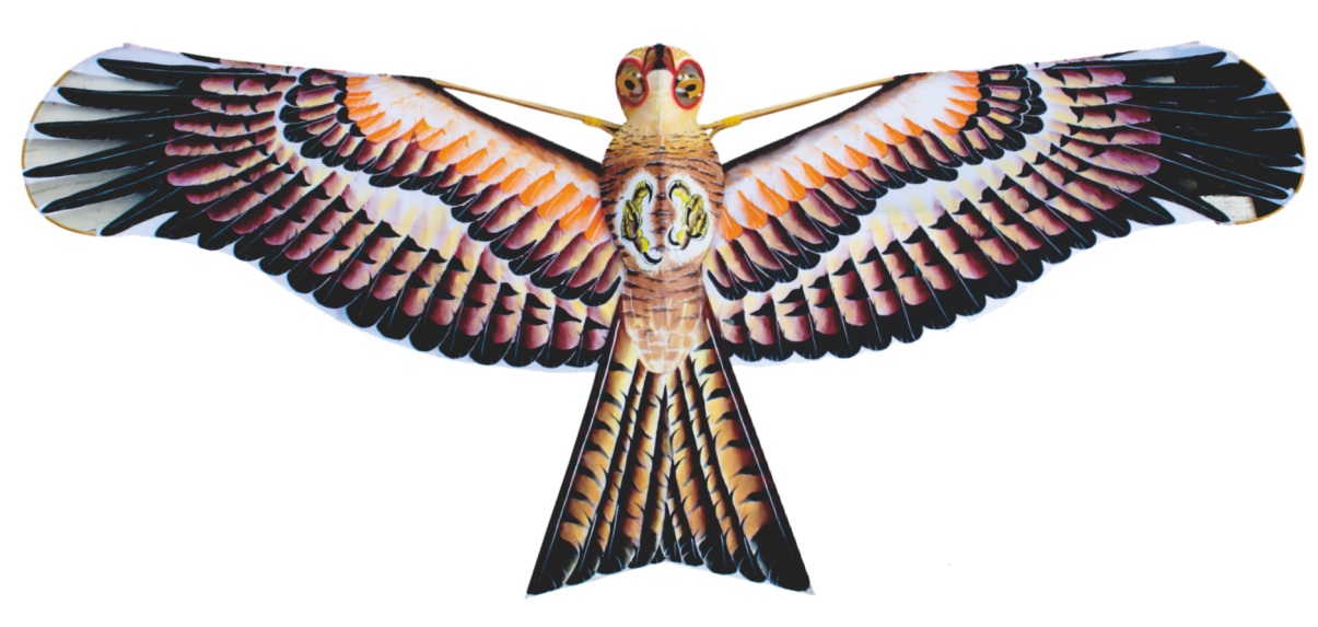 1592808041210244.png 1592808041210244.png